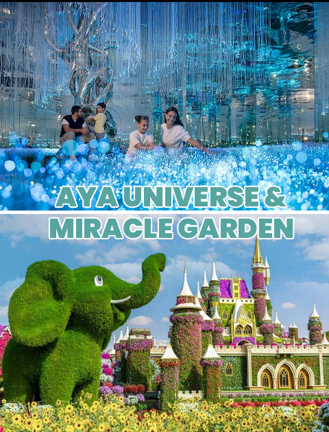 Combo: Dubai Miracle Garden + AYA Universe