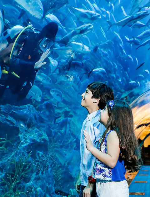 Combo Deal: Dubai Aquarium & Underwater Zoo + Wild Wadi Waterpark