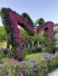 Combo: Dubai Miracle Garden + AYA Universe