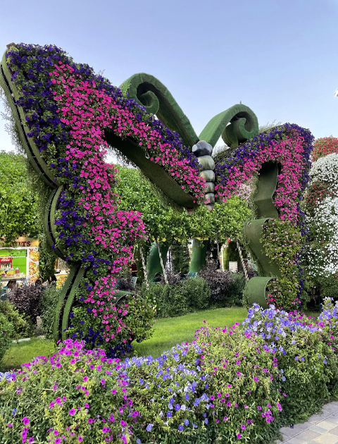 Combo: Dubai Miracle Garden + AYA Universe