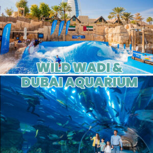 Combo Deal: Dubai Aquarium & Underwater Zoo + Wild Wadi Waterpark