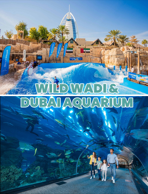 Combo Deal: Dubai Aquarium & Underwater Zoo + Wild Wadi Waterpark