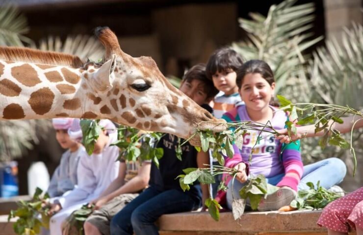 rsz_emirates_park_zoo_26-1024×682